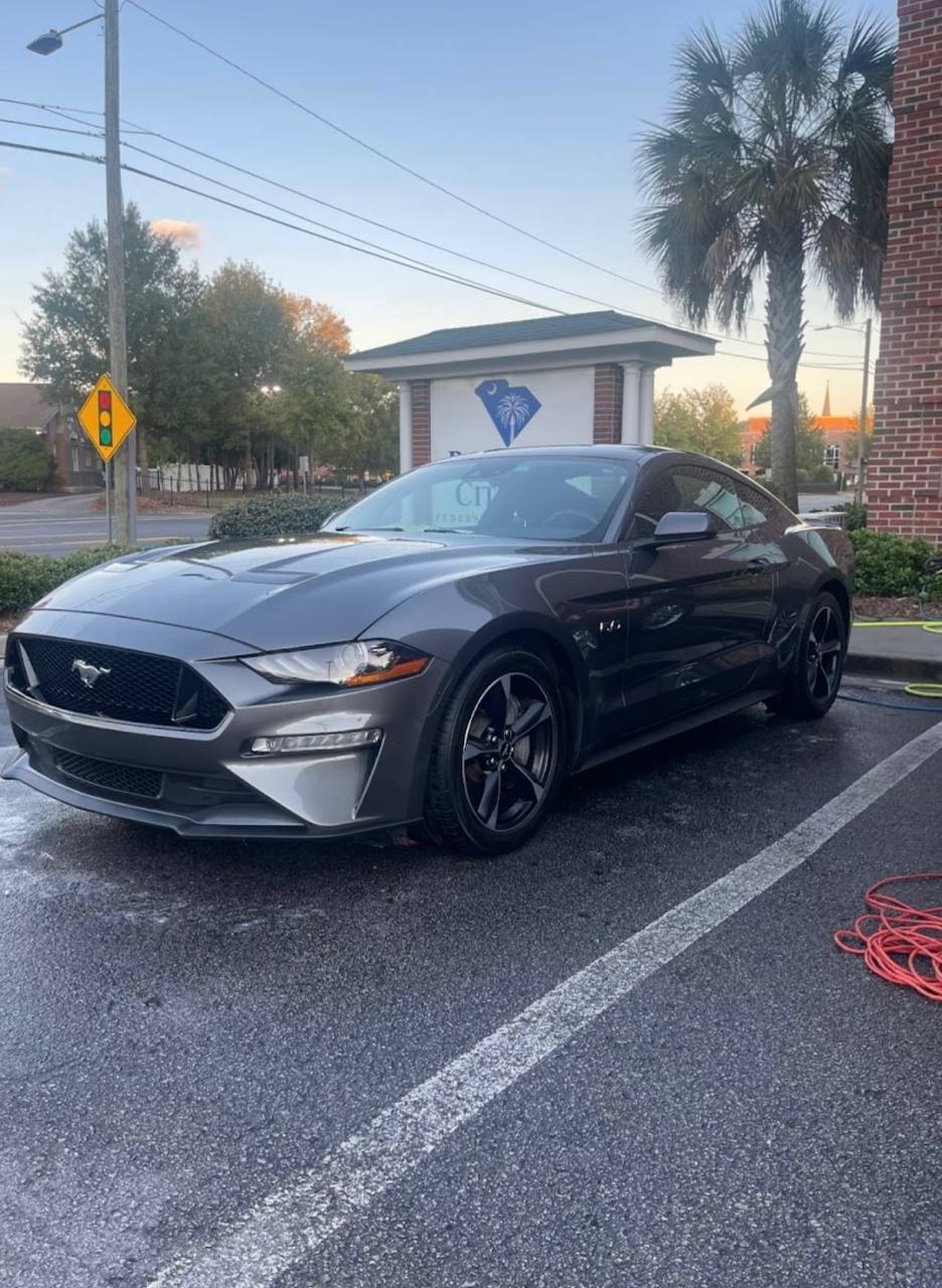 Freshly detailed Mustang GT, mirror shine finish